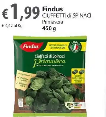 Extra Supermercati Findus CIUFFETTI di SPINACI Primavera 450 g offerta