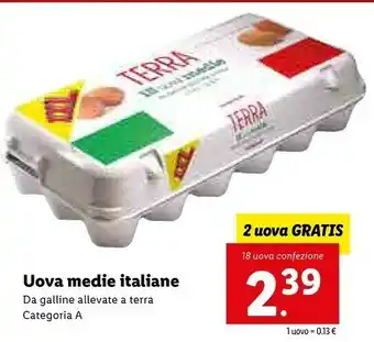 Lidl Uova Medie Italiane Da Galline Allevate A Terra Categoria A offerta