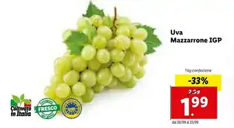 Lidl Uva Mazzarrone Igp offerta