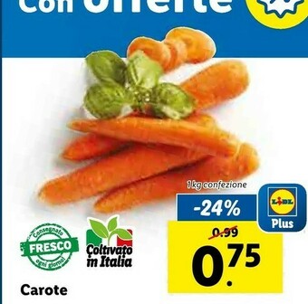 Lidl Carote offerta