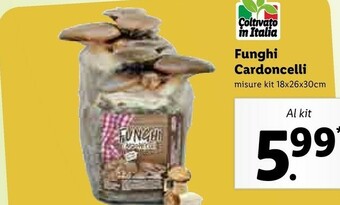 Lidl Funghi Cardoncelli offerta