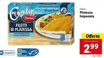 Lidl Findus Filetti Di Platessa Pescata Nel Mare Del Nord In Croccante Pangrattato 250 G(ml) offerta