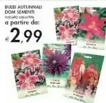 Dom sementi Bulbi Autunnali
