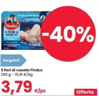 Eurospar 5 fiori di nasello Findus 250 g offerta