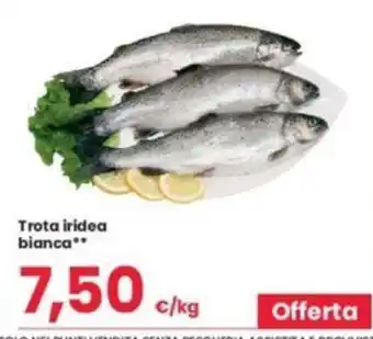 Eurospar Trota iridea bianca offerta