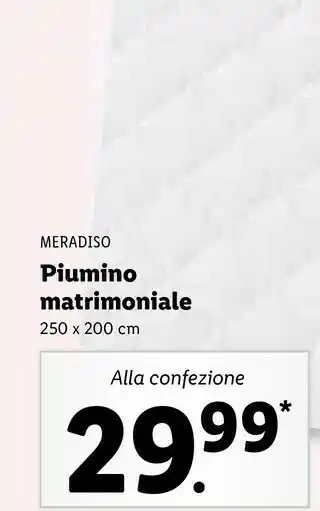 Lidl Meradiso Piumino Matrimoniale offerta