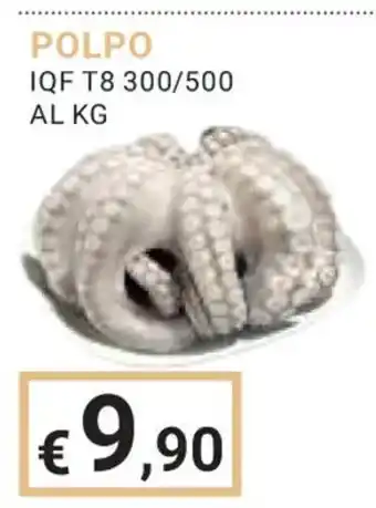 Eté POLPO IQF T8 300/500 offerta
