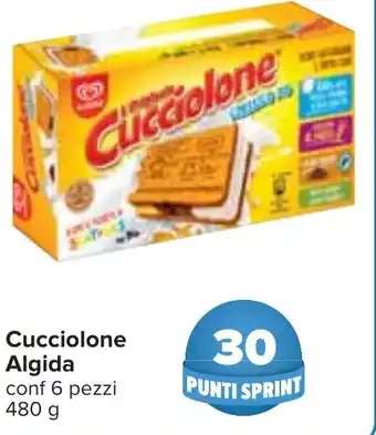 Carrefour Cucciolone Algida conf 6 pezzi 480 g offerta