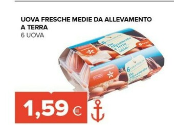 Tigre Uova Fresche Medie Da Allevamento A Terra offerta