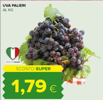 Tigre Uva Palieri offerta