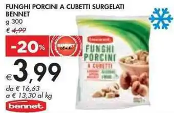 Bennet FUNGHI PORCINI A CUBETTI SURGELATI BENNET g 300 offerta