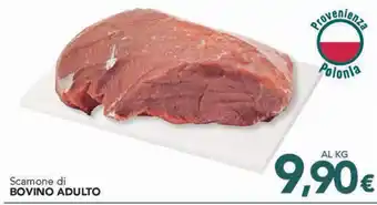 Altasfera Scamone di BOVINO ADULTO offerta