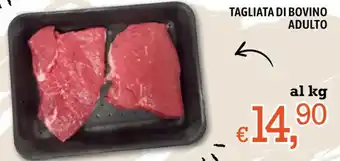 Famila TAGLIATA DI BOVINO ADULTO offerta