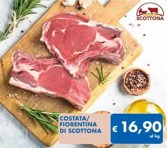 COSTATA/ FIORENTINA DI SCOTTONA