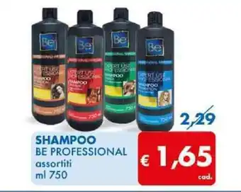 MD Discount SHAMPOO BE PROFESSIONAL assortiti ml 750 offerta