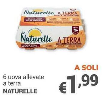 Unes 6 uova allevate a terra NATURELLE offerta