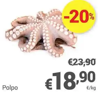 Unes Polpo offerta