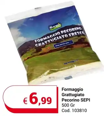 Centro Cash Formaggio Grattugiato Pecorino SEPI 500 Gr offerta