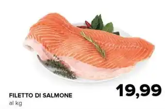 Tigre FILETTO DI SALMONE offerta
