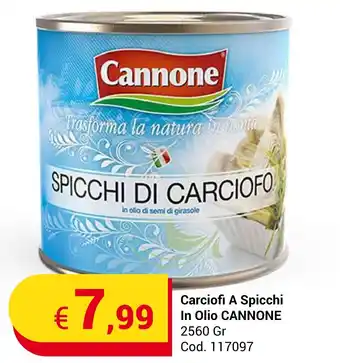 Centro Cash Carciofi A Spicchi In Olio CANNONE 2560 Gr offerta