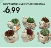Bennet Composizione Sempervivum In Ceramica offerta