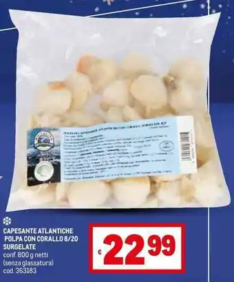 Metro CAPESANTE ATLANTICHE POLPA CON CORALLO 8/20 SURGELATE conf. 800 g netti (senza glassatura) cod. 363183 offerta
