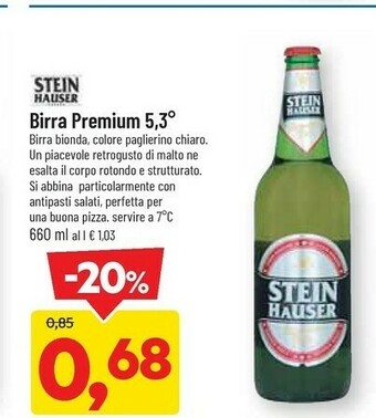 DPiù Stein Hauser Birra Premium 660 Ml offerta