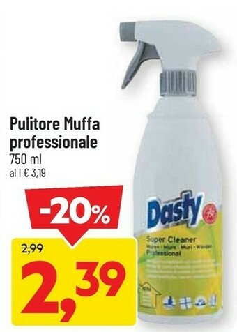 Pulitore Muffa Professionale