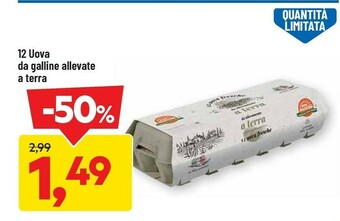 DPiù 12 Uova Da Galline Allevate A Terra offerta