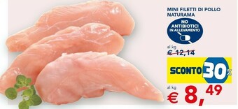 Esselunga Mini Filetti Di Pollo Naturama offerta
