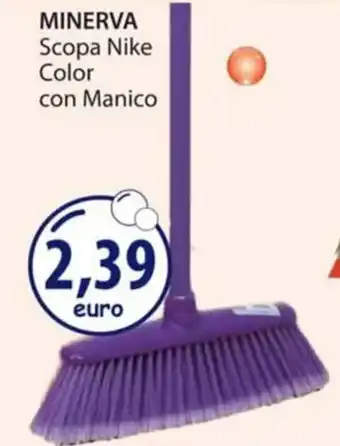 Acqua & Sapone MINERVA Scopa Nike Color con Manico offerta
