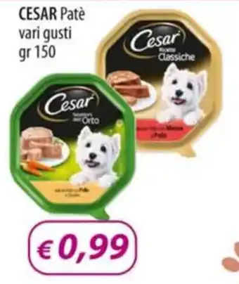 Acqua & Sapone CESAR Patè vari gusti gr 150 offerta