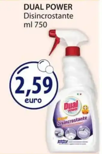 Acqua & Sapone DUAL POWER Disincrostante ml 750 offerta
