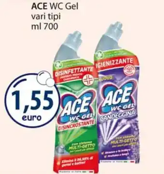 Acqua & Sapone ACE WC Gel vari tipi ml 700 offerta