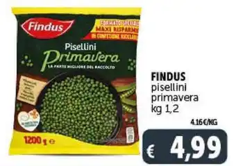Deco Market FINDUS pisellini primavera kg 1,2 offerta