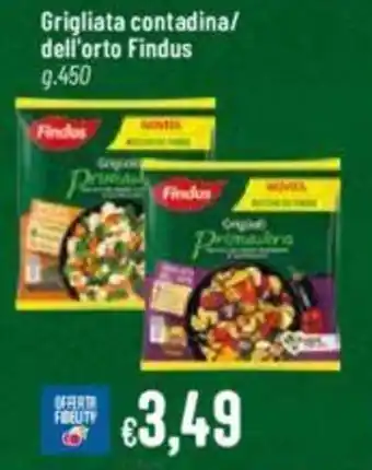 Pan Grigliata contadina/ dell'orto Findus g.450 offerta