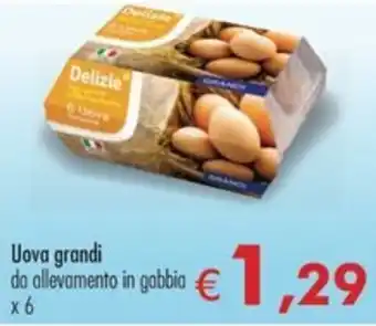 Uova grandi da allevamento in gabbia x6