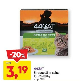 DPiù 44 Cat Straccetti In Salsa offerta