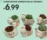 Bennet Composizione Sempervivum In Ceramica offerta