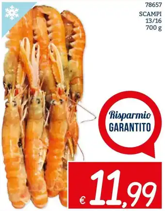 Zona SCAMPI 13/16 700 g offerta