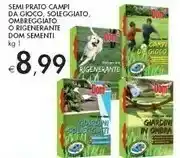Bennet Semi Prato Campi Da Gioco offerta
