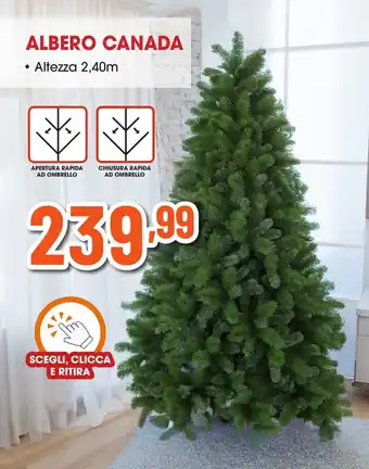 ALBERO CANADA