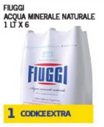 Euroesse FIUGGI ACQUA MINERALE NATURALE 1 LT X6 offerta