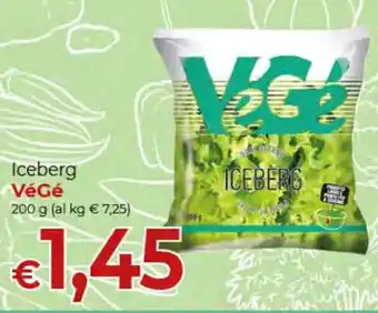 Iceberg VéGé 200 g