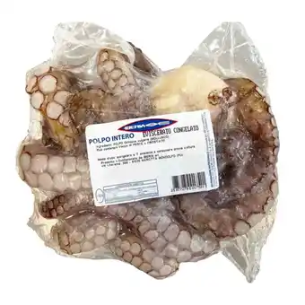 Polpo intero eviscerato congelato iberia