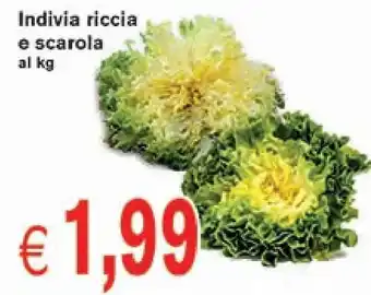 Indivia riccia e scarola