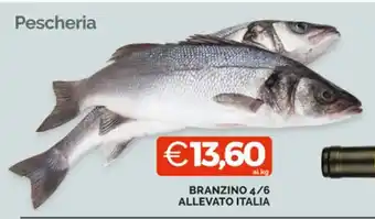 Mercatò BRANZINO 4/6 ALLEVATO offerta