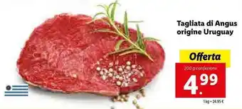 Lidl Tagliata di Angus origine Uruguay 200g offerta