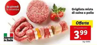 Lidl Grigliata mista di suino e pollo 470g offerta
