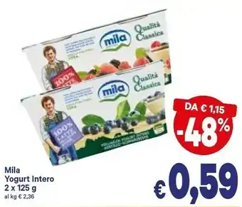 A&O Mila Yogurt Intero Strudel 250 G(ml) offerta